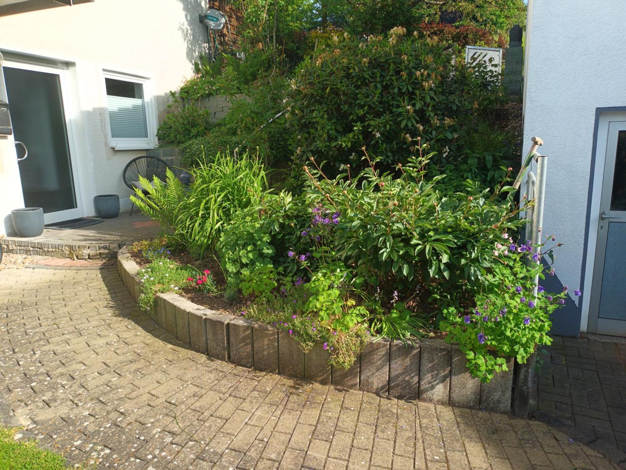 Am Wald Apartment
