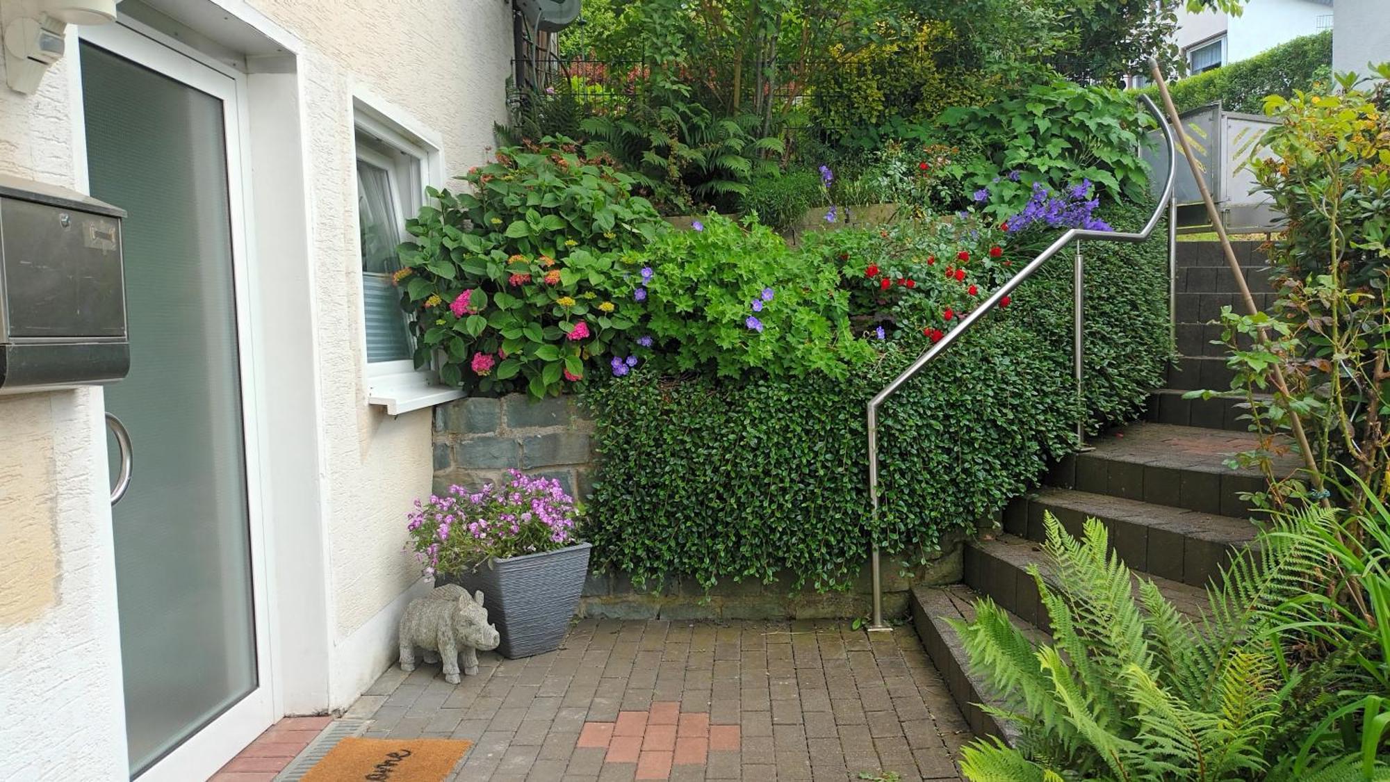 Am Wald Apartment